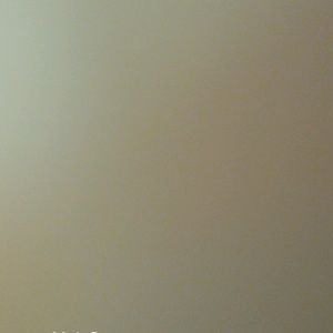 Meet your Posher, Sheila